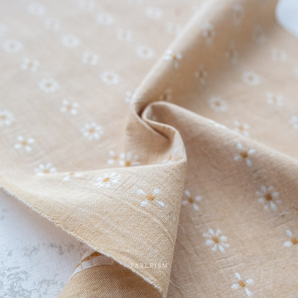 Daisies in Biscuit